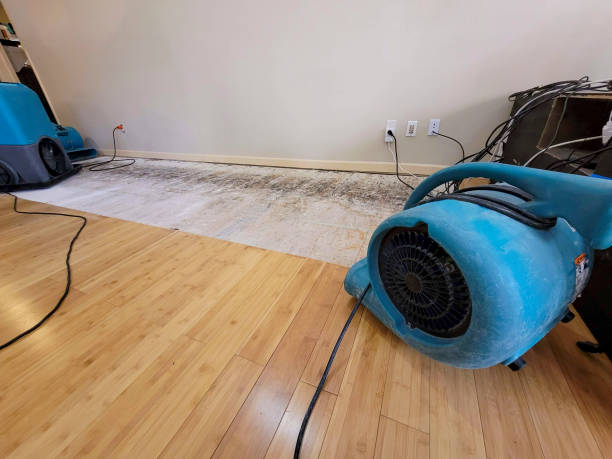 Professional Water Damage Repair technician working in Randolph, NE